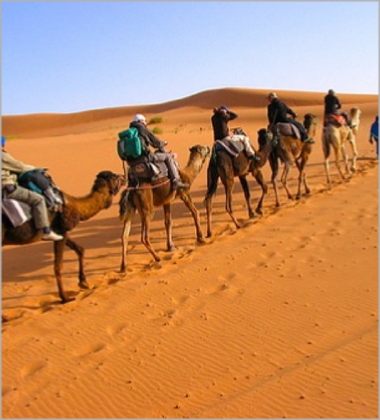 Tour from Casablanca Tour from Casablanca
