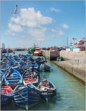 Marrakech Day Trips