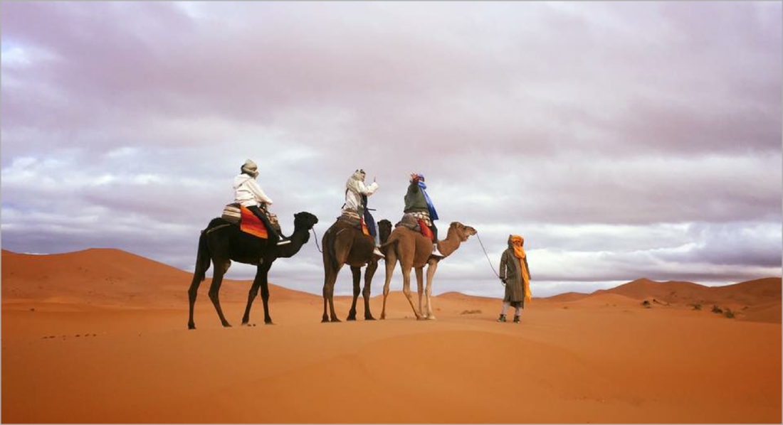 Desert activities