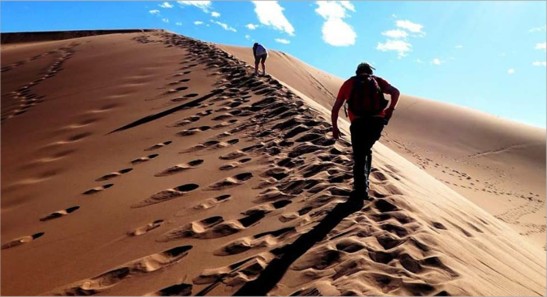 Desert activities