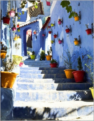 Day Trips from Fes