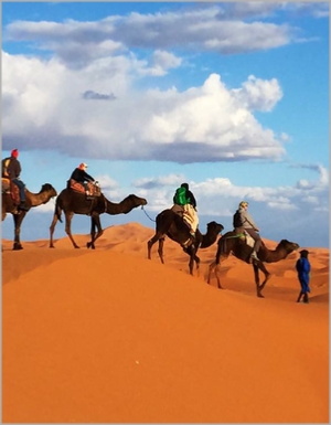 Tour from Fes