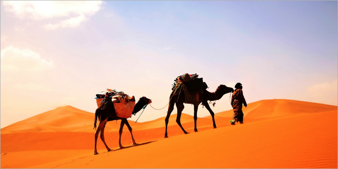 Tour from Fes