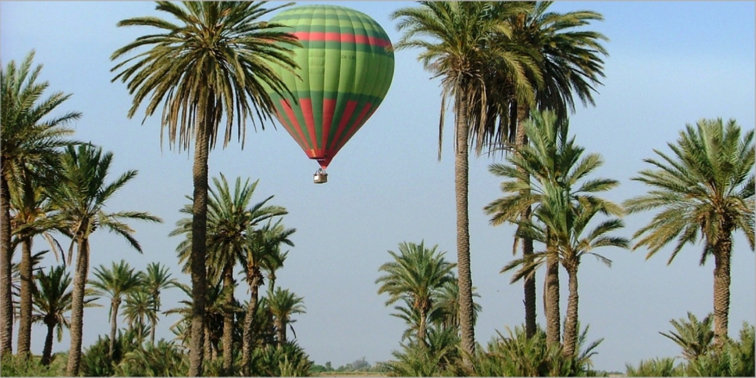 Activities in Marrakech