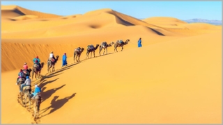 Tour from Marrakech