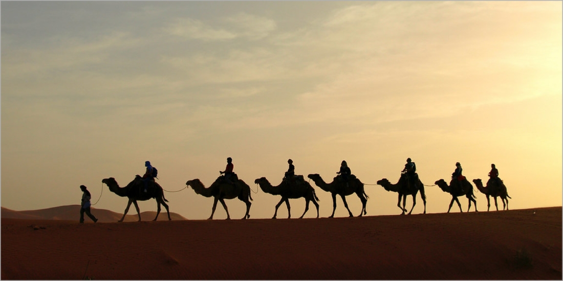 Tour from Marrakech to Desert (Morocco)