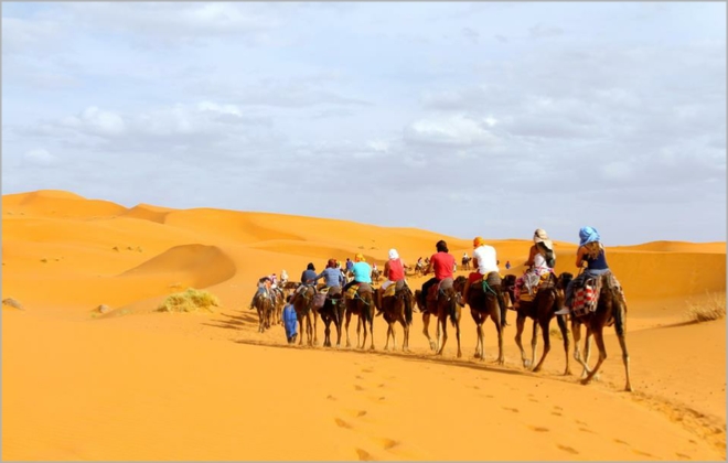 Tour from Marrakech