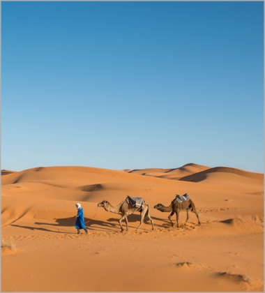 Tour from Marrakech