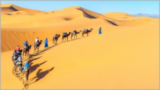 Tour from Marrakech