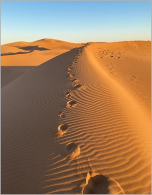 Tour from Ouarzazate